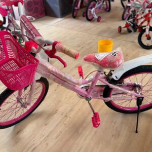 Bicicleta R24