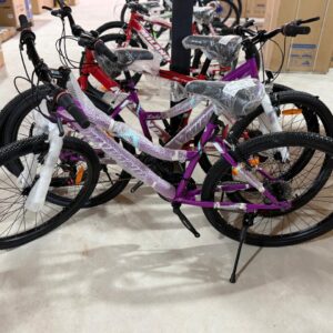 Bicicleta R26