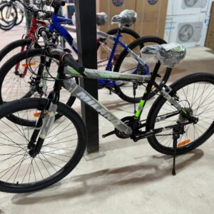 Bicicleta R29 COMUN